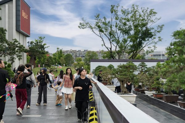 鹿鸣山文化院街盆景展焕新亮相文脉升级，以非…